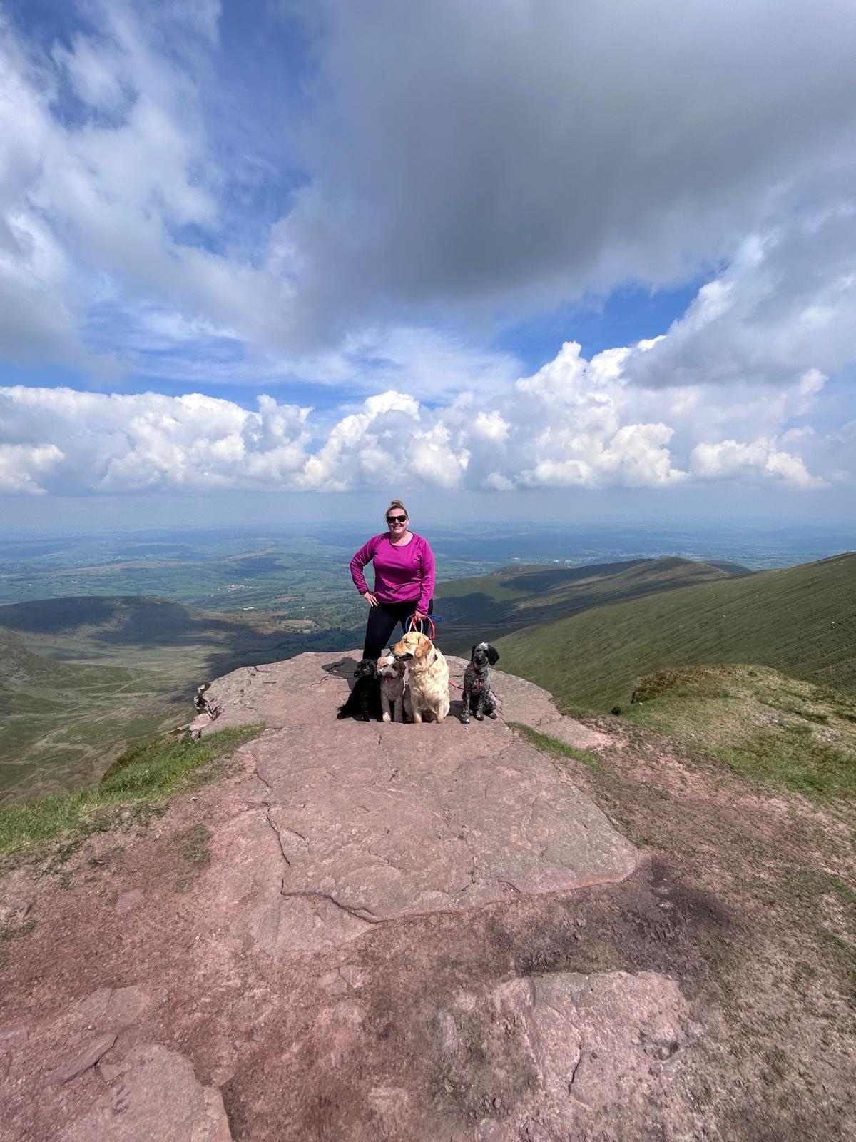 Dog walker and dogs at a mountain summit on a Weekend Dog Adventure