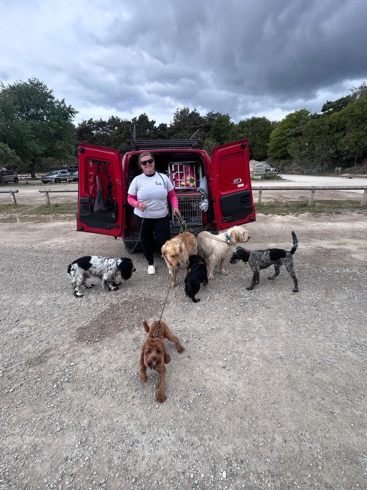 The Who's Walking Who van with dogs at a beach car park before a group walk